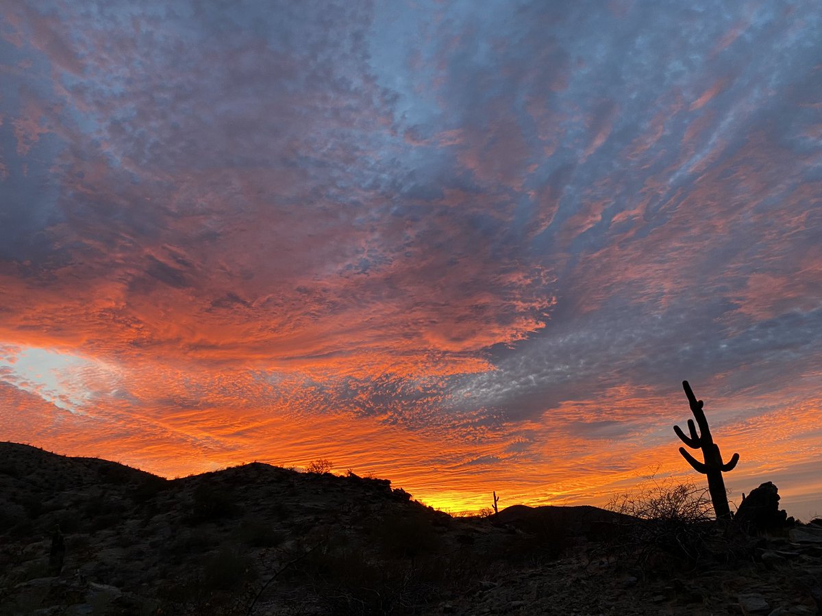 MaryAliceCam's tweet photo. @NWSPhoenix And because I can’t resist a saguaro photo...(at south mountain) https://t.co/lxVXxDN8Nj