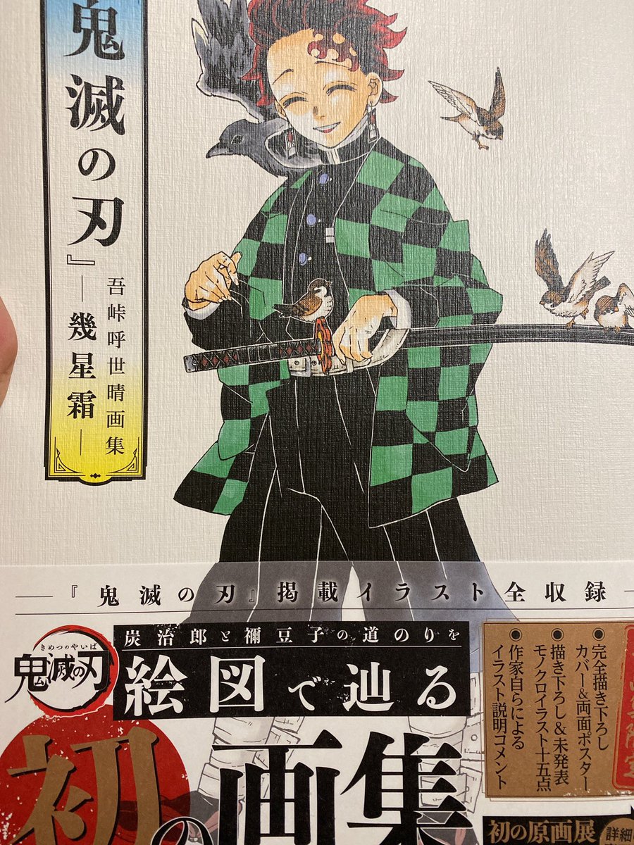 朝から近所の本屋に問い合わせたら、画集あるってことだったから買ってきた!!笑
ぱらーっと見ますわ? 