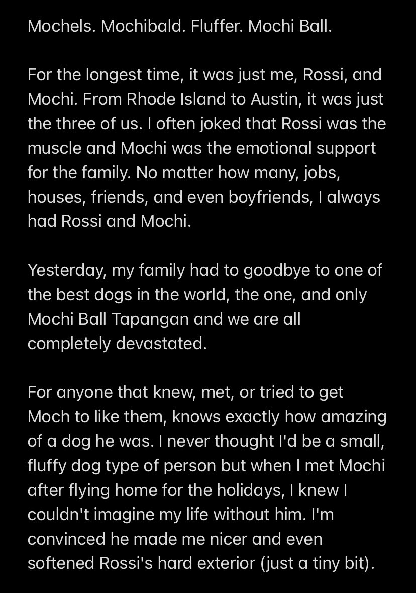 KishaT's tweet photo. I had to say goodbye to my little fluffer, Mochi Ball, unexpectedly and I am absolutely crushed. 💔 https://t.co/UpsaWeDIjo