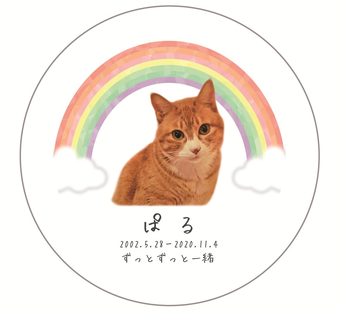 猫の慢性腎臓病 hashtag on Twitter