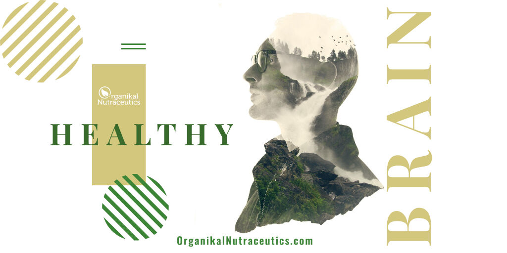 In today’s fast-paced world, many of us are faced with deadlines to meet.

This can result in a build-up of mental fatigue, which can affect the way we think &amp; react to situations.

The best way to get a natural boost to brainpower is to focus on our diet.
organikalnutraceutics.com
