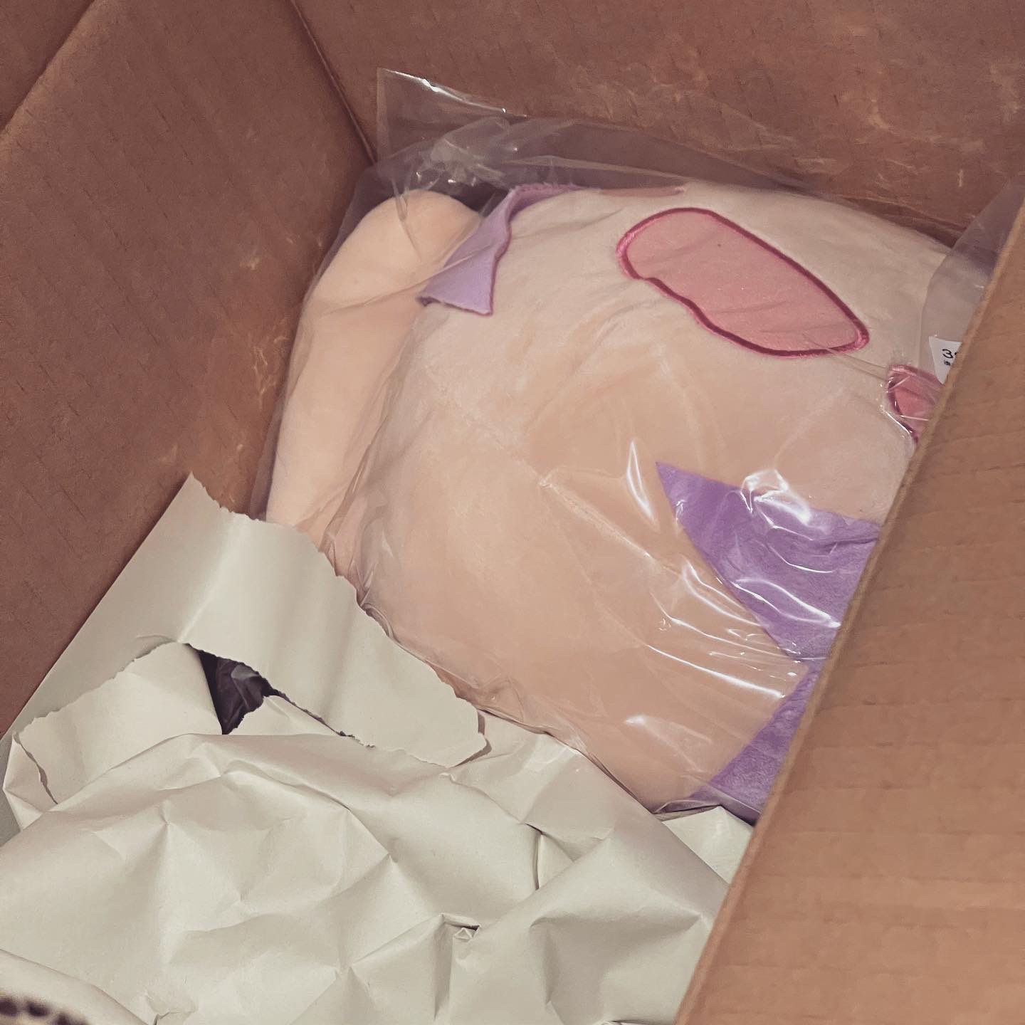 Hiroya Twitterissa あぁ あくたん 湊あくあ超bigぬいぐるみ 湊あくあ 超bigぬいぐるみ ホロライブアイドル道 Bloom 湊あくあ生放送 とまらないホロライブ T Co vvtybgqj T Co Yv31p0jjxd Twitter