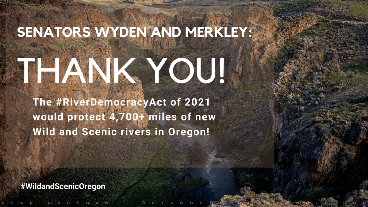 ProtectOwyhee's tweet photo. BIG NEWS! Today, @RonWyden & @SenJeffMerkley intro’d the #RiverDemocracyAct that protects 4700+ miles of #OurOregonRivers - including stunners in the Owyhee! It’s a testament to Oregonians’ commitment to healthy places for people, fish and wildlife. https://t.co/BhfPWi9eDI https://t.co/zGqdiAXddx