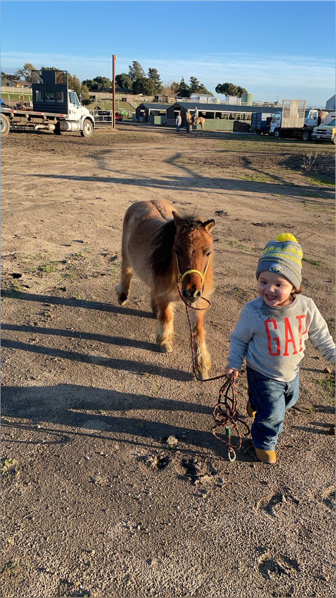Petertho9's tweet photo. Gotta Teach them young🤙🏼😍 GodSon Emiliano ❤️ https://t.co/ToWvBAzNaA
