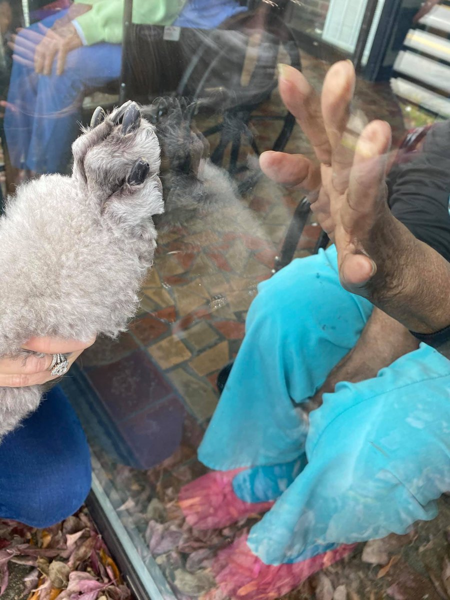 The Pet Partners Therapy Animal Program was designed around in-person therapy animal visits. In this week’s blog, we provide an overview of the alternative options our therapy animal teams are using to continue providing AAI.
ow.ly/BJcP50DmlAX