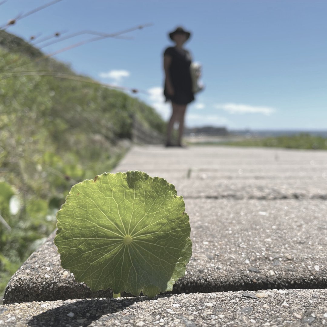 Belinda Bow tweet media