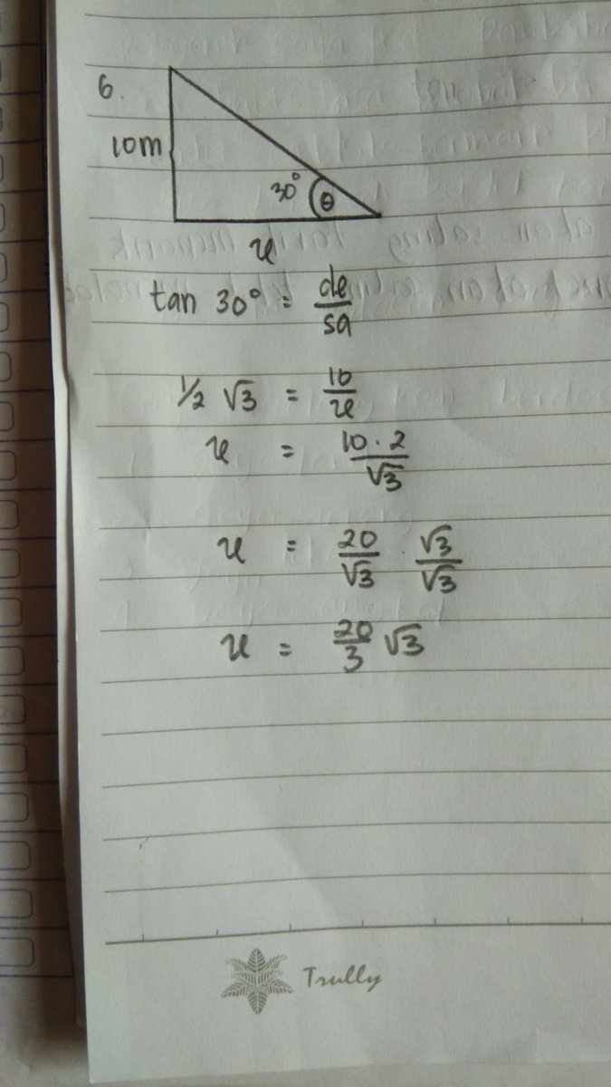 Himawari🌻 tweet media