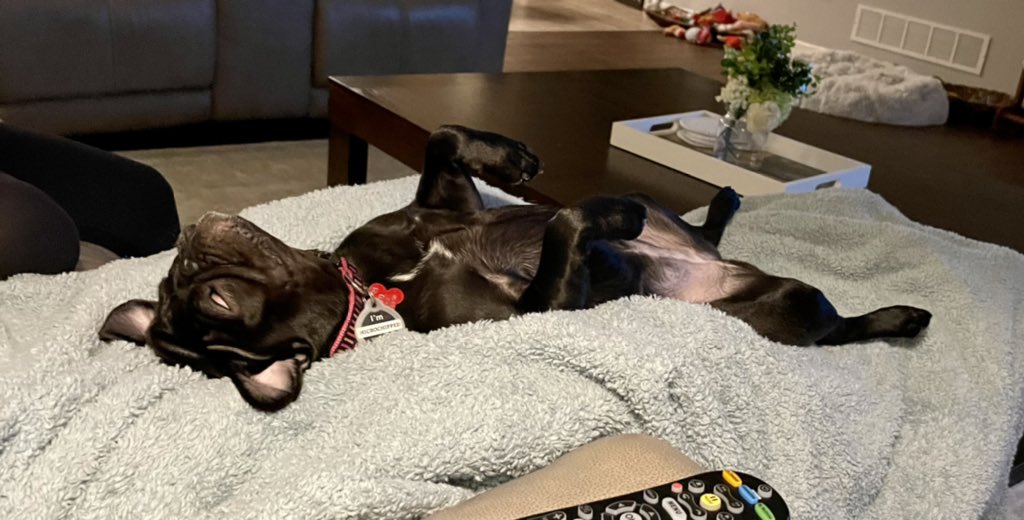 It’s been a long day.