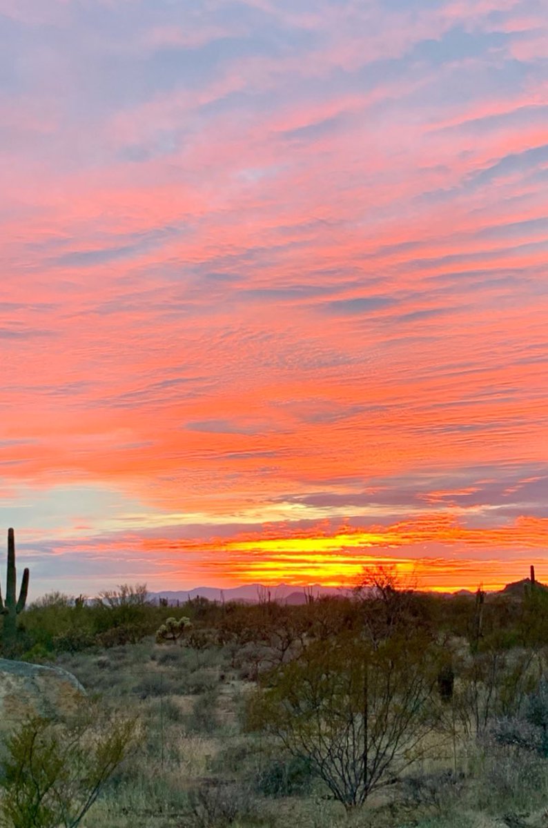 All the colors of an Arizona sunset ☀️