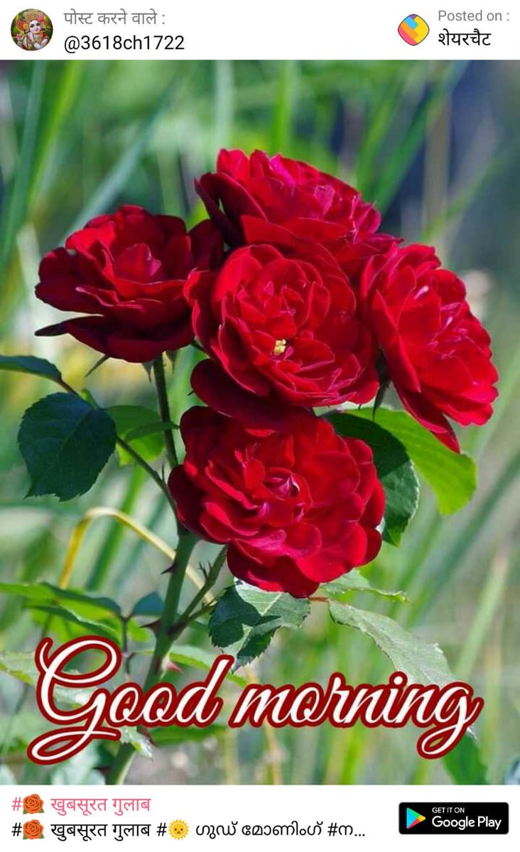 Love Yogesh Nagpure (@lnagpre) on Twitter photo 