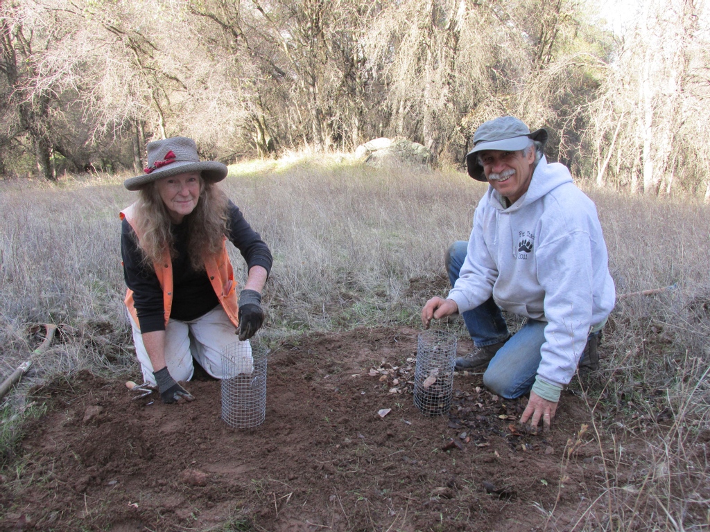 OAK PLANTING DEMONSTRATION - Registration Required: app.donorview.com/zADlb
...
#arc #arconservancy #americanriverconservancy #blueoak #stewardship #conservation #education #outdooreducation #workshop #californiaoaks #nativeplants #nativespecies