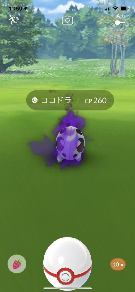 Knappstein こいつの色違いはどうなるんだ ポケモンgo ココドラ シャドウポケモン Knappstein こいつの色違いはどうなるんだ ポケモンgo ココドラ シャドウポケモン
