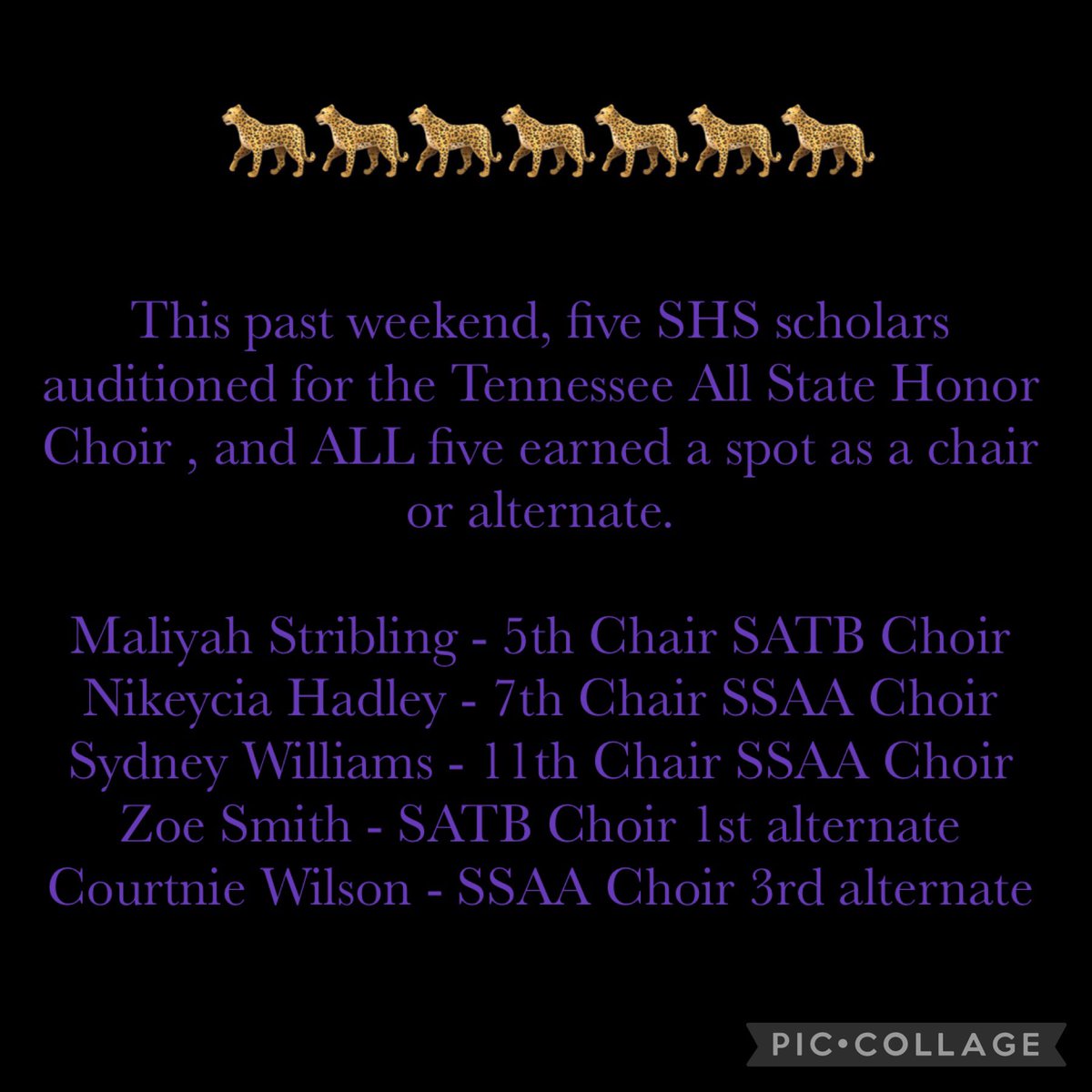 SouthwindHS's tweet photo. So proud of our choir students. It is further evidence of the excellence of our @SHSSingers_ program under the leadership of Maestro Dre Pinson! #thewindisYETANDSTILLblowing #SHSis38125🐆 https://t.co/Yp6oASYbRI