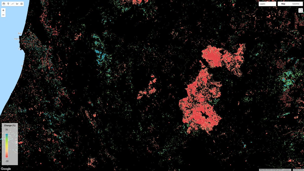 🌍 chris tweet media