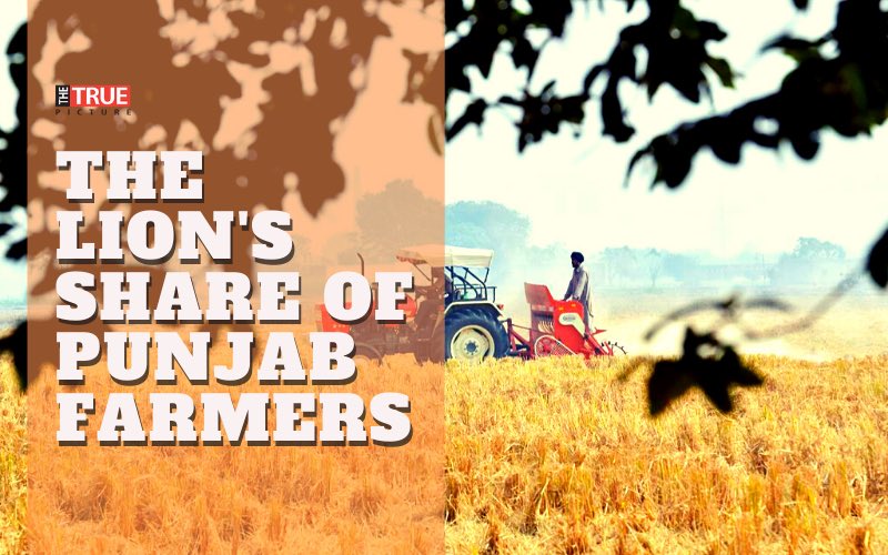Farmers, the backbone of Punjab’s economy, are mere landowners in the state. The majority of the labourers who work on the fields of Punjab are migrants from Bihar, Jharkhand, & UP.Punjab has around 46%of the money allocated by the Union govt to curb the crop residue burning.