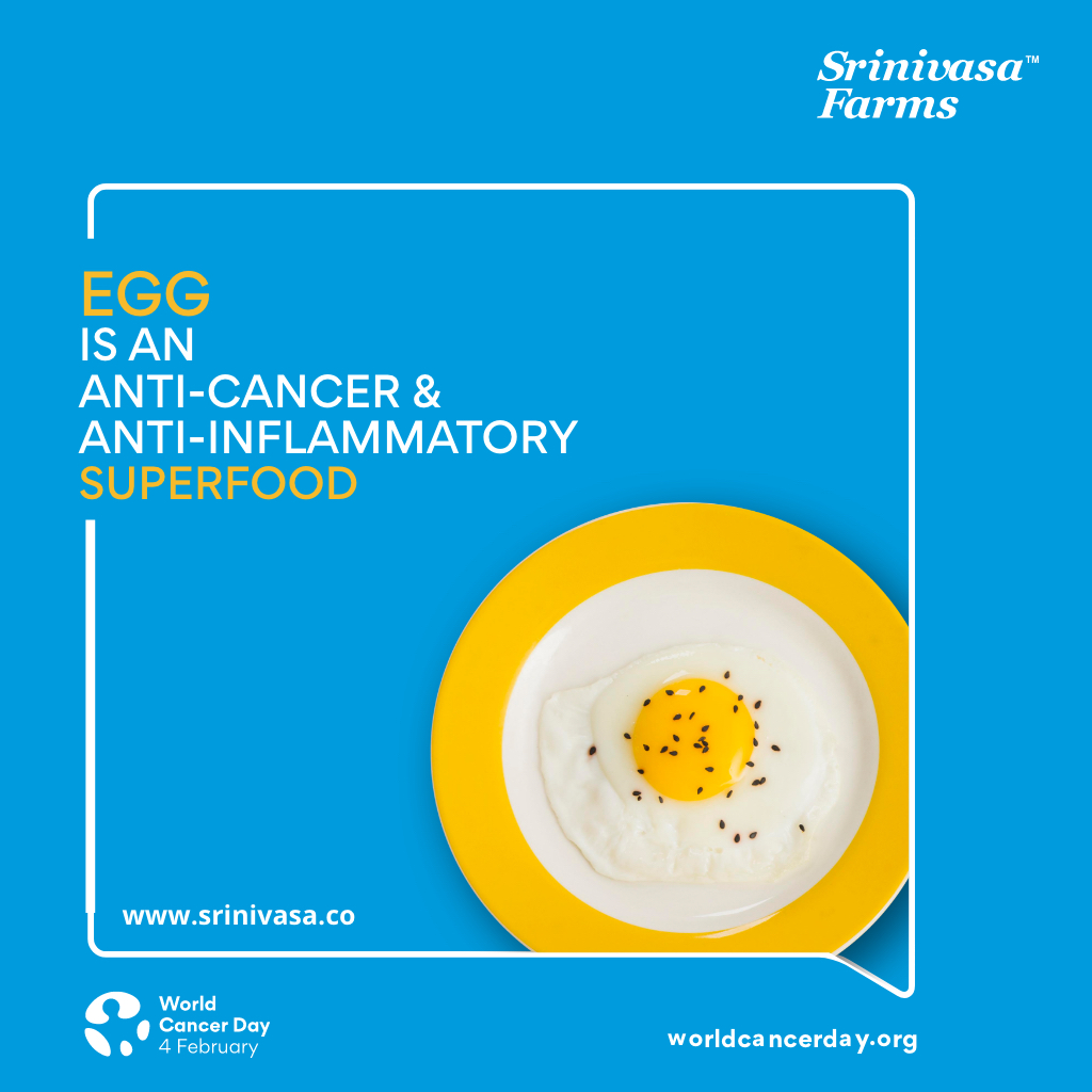 srinivasa_farms's tweet photo. Proteins & peptides present in eggs have been reported to protect against DNA damage, decrease the invasion ability of cancer cells
#SrinivasaFarms #Eggs #EggProtein #EggsBoostImmunity #EggNutrition #PoultryIndustry #EggsPreventCancer #WorldCancerDay #IAmAndIWill #feedstrategy https://t.co/H1py9NqLKC