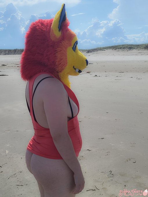 I only bring you the best of views😻😽 https://t.co/bPEOFfPJeS