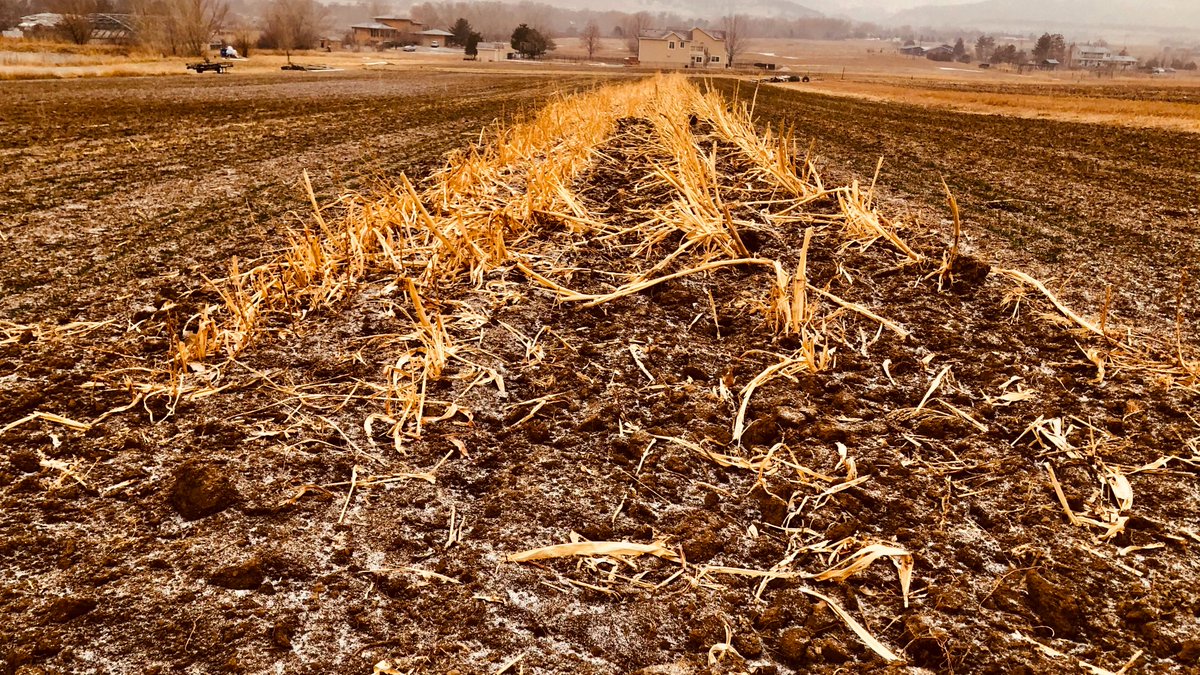 Winter is quiet but important. It doesn’t have the same vibrant energy as the other three seasons, but it lays the foundation for the year so the other seasons can have their time to shine. 

What are you working on this winter to plan for your year ahead?