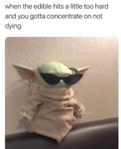 netteypea's tweet image. 