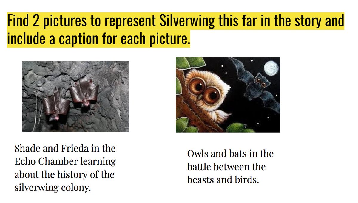 MsEvaTeaches's tweet photo. Gr 4's are enjoying our novel study unit!
Silverwing was read to me when I was their age and I am so grateful to have a chance to share it with my Ss. A truly captivating text that is helping us develop our understanding of plot and characters. @kennethoppel @EVS_YRDSB https://t.co/lPiconsgxY