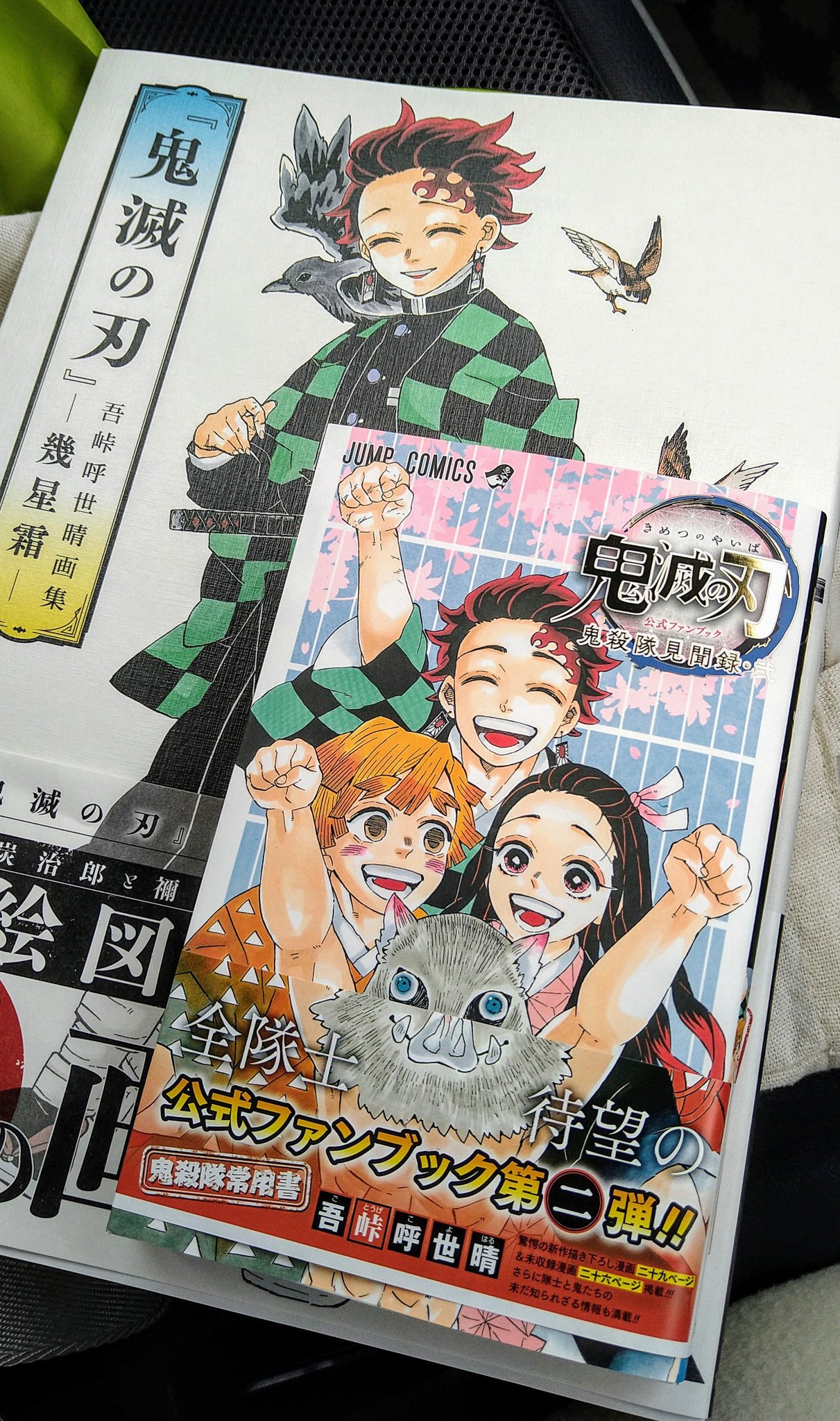 تويتر 鬼滅の刃公式 على تويتر 必携の2大書物本日発売 炭治郎と禰 豆子の道のりを絵で辿る初の画集 鬼滅の刃 吾峠呼世晴画集 幾星霜 と 新情報が随所に散りばめられた 鬼滅の刃公式ファンブック 鬼殺隊見聞録 弐 が 本日2 4 木 発売 炭治郎たち