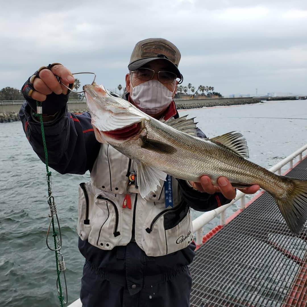 太公望になれなくて 子供食堂に寄付できるんですね 武庫一の渡船では可能だったので魚釣り公園でうかがった際には出来なさそうなお話でした 方法をご教授いただければ幸いです よろしくお願いいたします 太公望になれなくて 子供食堂に寄付できるんですね 武庫一の渡船では可能だったので魚釣り公園でうかがった際には出来なさそうなお話でした 方法をご教授いただければ幸いです よろしくお願いいたします