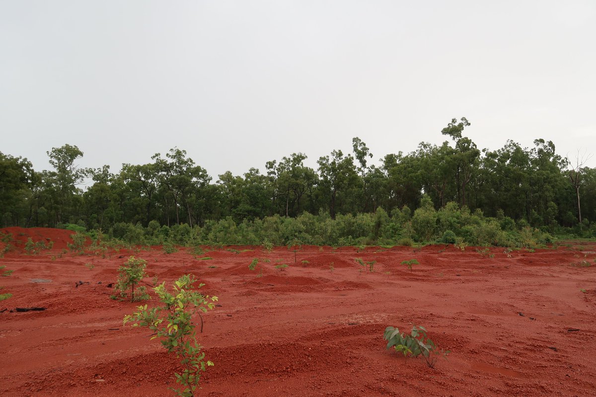  #Mining impacts  #ecosystemservices in many ways from pre- to post-mining. Our NEW STUDY shows what these impacts are, how they’re measured, and what this means for people, highlighting major research gaps along the way. Check it out here (1/5) -  https://authors.elsevier.com/a/1cVIO,oMyQL9Dr