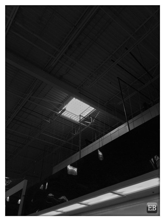Eric_Brazier's tweet photo. “Light Grater” https://t.co/lt056wsk8U #TheDailyMobile #photography #Architecture #BigBoxStore #BlackAndWhite #Ceiling #Costco #Interiors #Shadows #ShaftsOfLight #Skylight #Sunlight https://t.co/zbJaJxrrpO