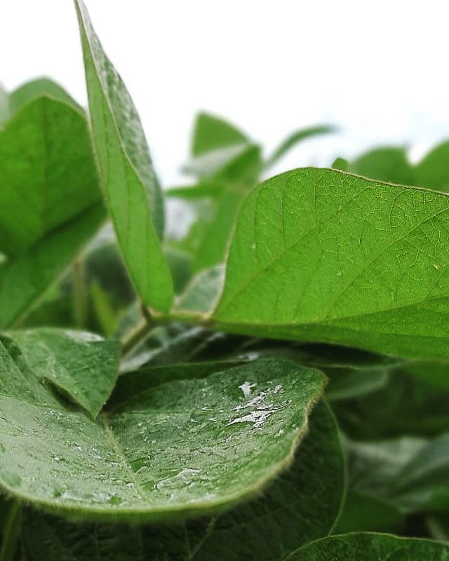 AGRAR DEL SUR tweet media