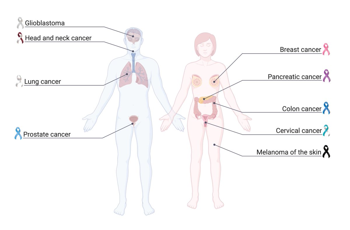 Today is World Cancer Day! Now more than ever we are reminded of the power of cooperation. We at CORE work together to fight many different cancer types and are committed to improving patient quality of life. Together, all of our actions matter! #IAmAndIWill #worldcancerday2021