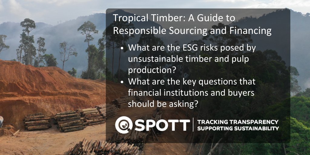Our latest report is now available, providing guidance on #ESG issues and responsible sourcing and financing in the tropical timber sector: spott.org/news/tropical-…
