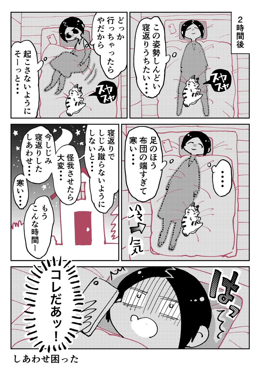 3本足のしじみちゃん116 