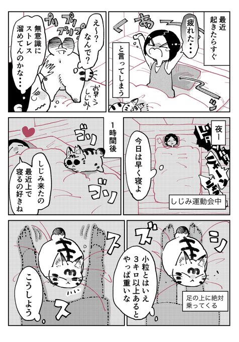 天道グミ Kawakimon さんのマンガ一覧 ツイコミ 仮 天道グミ Kawakimon さんのマンガ一覧 ツイコミ 仮
