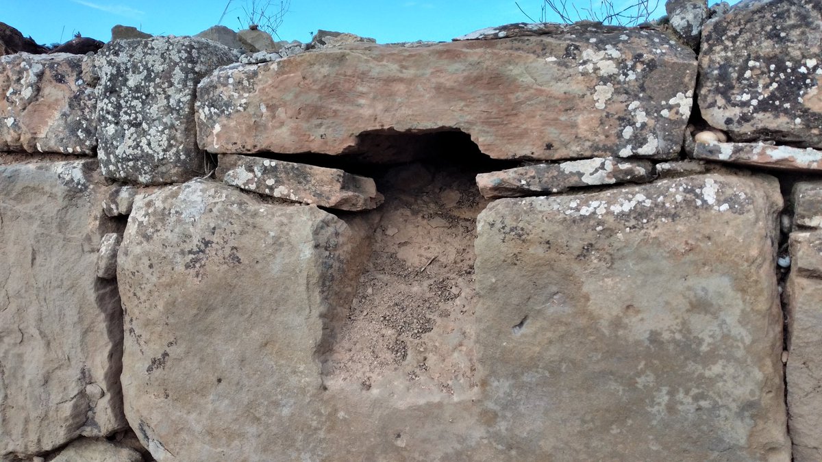 JmSantesm tweet media