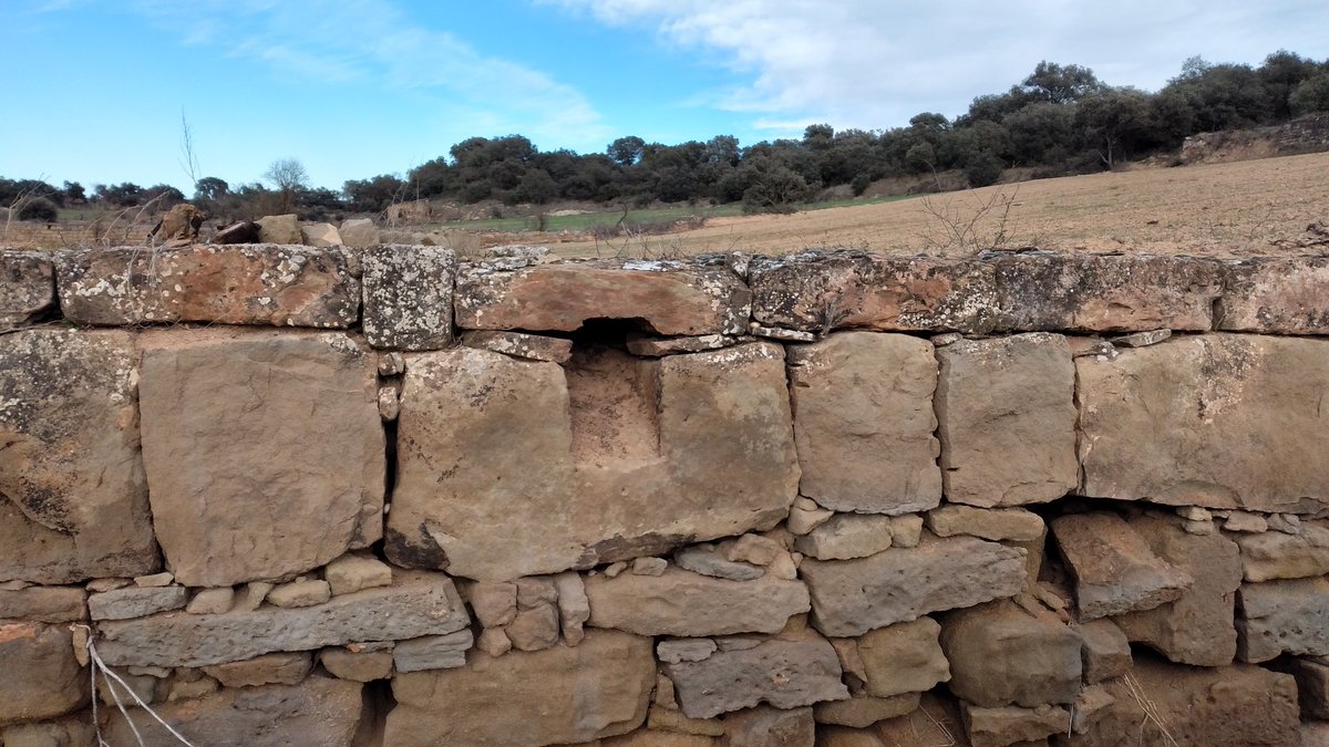 JmSantesm tweet media