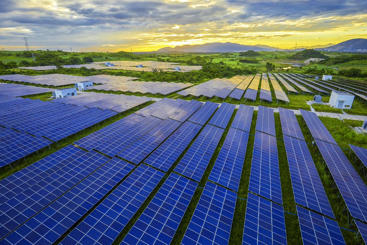 Kiwa Moroni tweet media