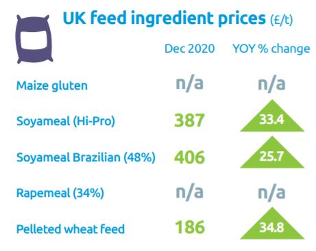 AHDB_Pork's tweet image. Looking for farm input costs at a glance? 

We've summarised the key changes 📈 in spending on-farm, such as feed, fertiliser and fuel on our website: ow.ly/jzbQ50DpTk8 #farminputs #feedprices