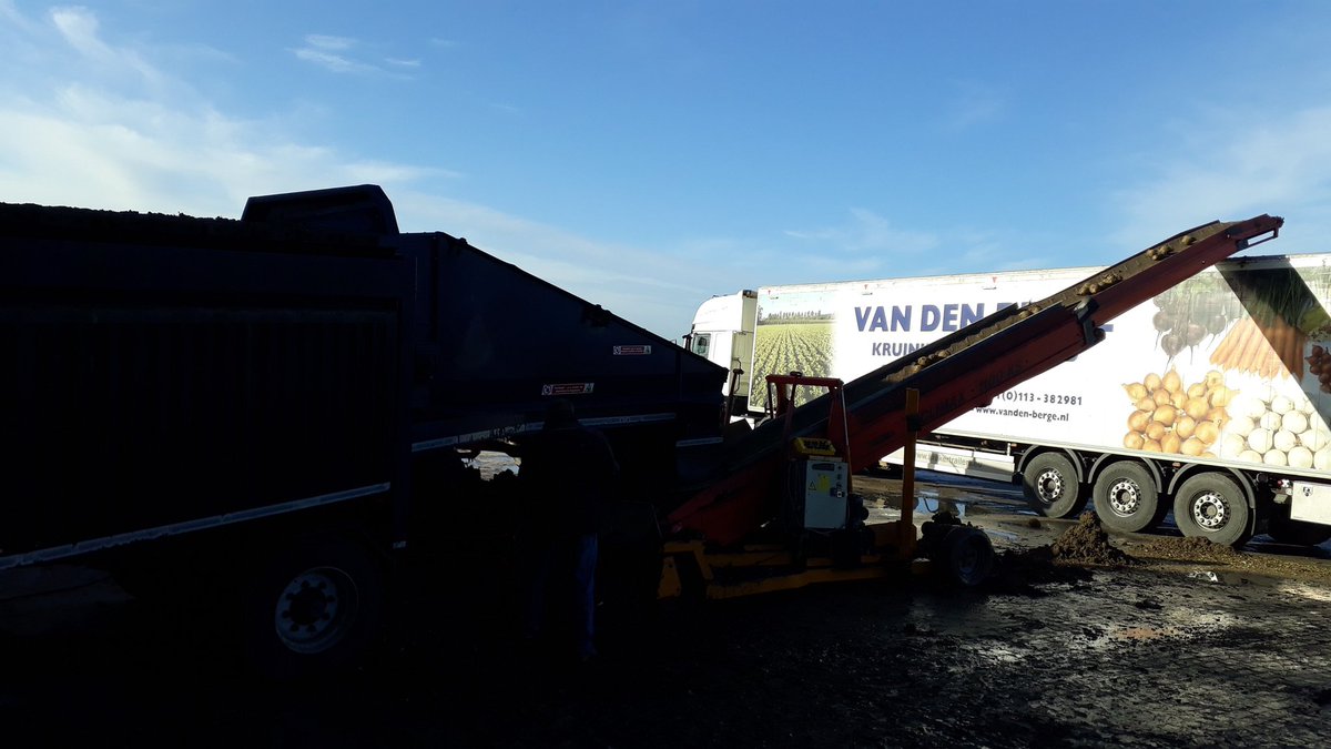 Knolselderij afleveren .