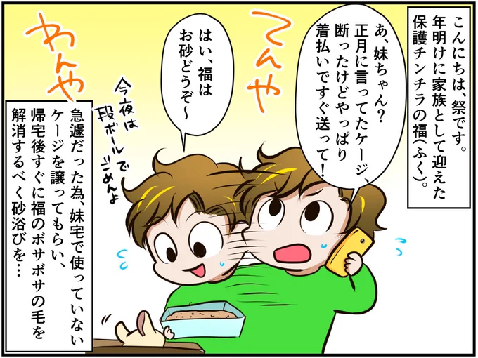 チンチライフ更新されてます?福が来た日の話?続き?【チンチライフ84話】  #チンチラ#chinchilla#漫画が読めるハッシュタグ#エッセイ漫画#もふもふ 