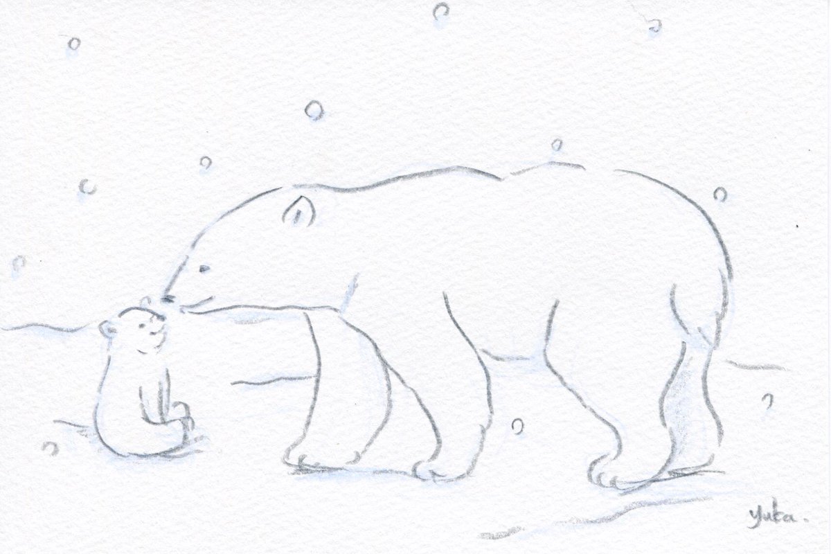 Yuka 白くまの親子 イラスト 動物画 白くま 色鉛筆画 白くまの親子