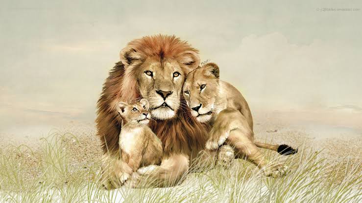 Blessing ur TL Viratians KOHLI AS LION ...... THREAD