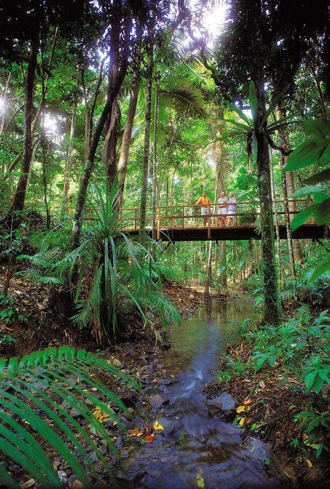 THUMBS UP IF YOU HAVE BEEN HERE!
A #WetTropicsWorldHeritageArea #DaintreeNationalPark in #FarNorthQueensland is among the most #ancientecosystems on #Earth. The area belongs to the #EasternKukuYalanji #Aboriginalpeople & many of its features hold great #spiritualsignificance.