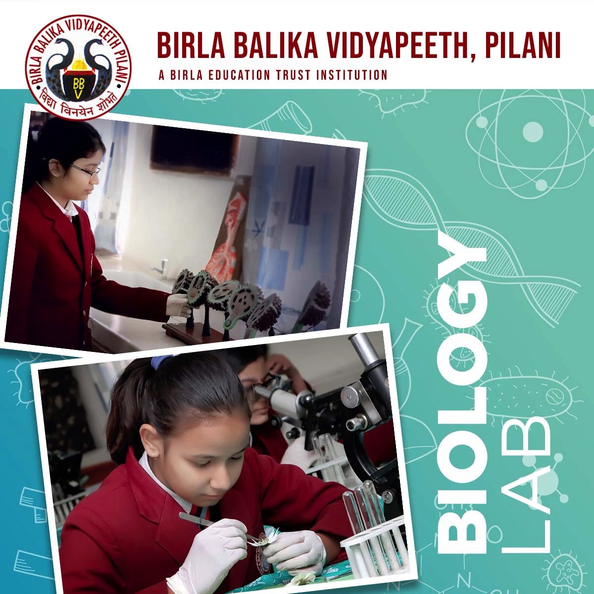 bbvpilani's tweet photo. #BBVPilani #BetPilani #LifeAtBBVP #BiologyLaboratory #Sciencelaboratory #BiologyLabClass #TheUnstoppableHer https://t.co/G6N67nWDeQ