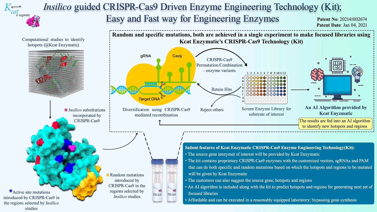 Kcat Enzymatic's Insilico guided CRISPR-Cas9 driven Enzyme Engineering Kit - Easy and Fast way for engineering enzymes.
#kcat_enzymatic #crispr_cas9 #enzyme #engineering #kit #fast_and_easy
