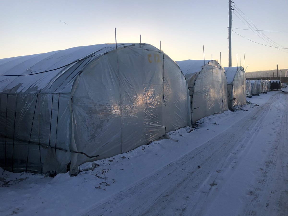 The farmland north of Seoul is a maze of plastic greenhouses. This is where this mostly hidden workforce both live and work. They have to pay for their accommodation - from around $150 - $200 a month. We found them trying to defrost their water supplies ..