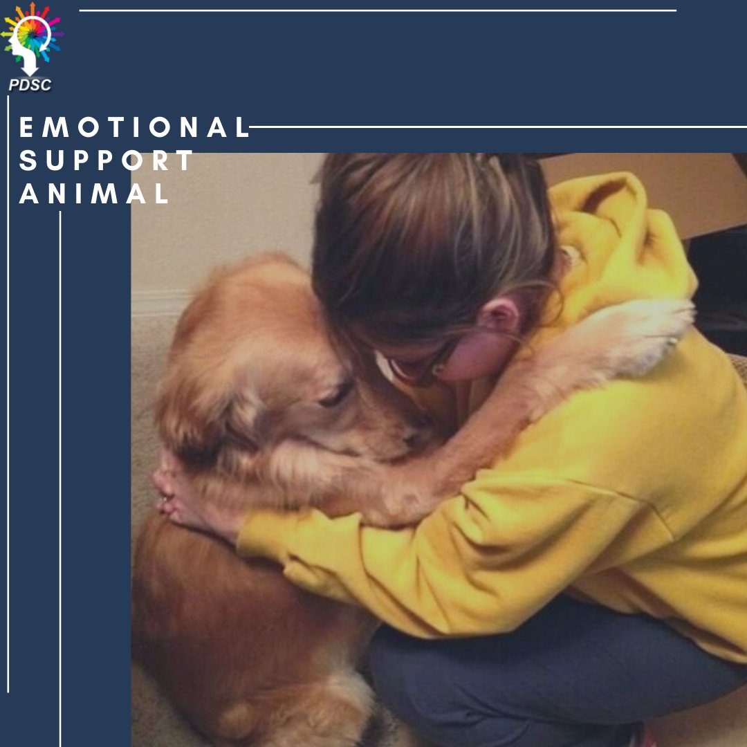 ESAcenter's tweet photo. Getting bored, feeling lonely, and have a bad mood always? Then ESA can remove your boredom and provide support and comfort in your alone time. Visit here:
https://t.co/tHMRPzDHVv
.
.
.
#ESALetter
#ServiceAnimalTravel
#ESAEvaluationletter
#ESAOnlineLetter
#GetESALetterOnlineFree https://t.co/xLpAYhUxTN