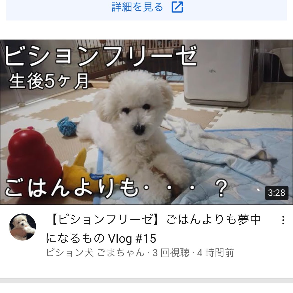 ビション犬 ごまちゃん You Tubeアップしました ビションフリーゼ ごはんよりも夢中になるもの Vlog 15 T Co Okqbkpljb5 Youtubeより