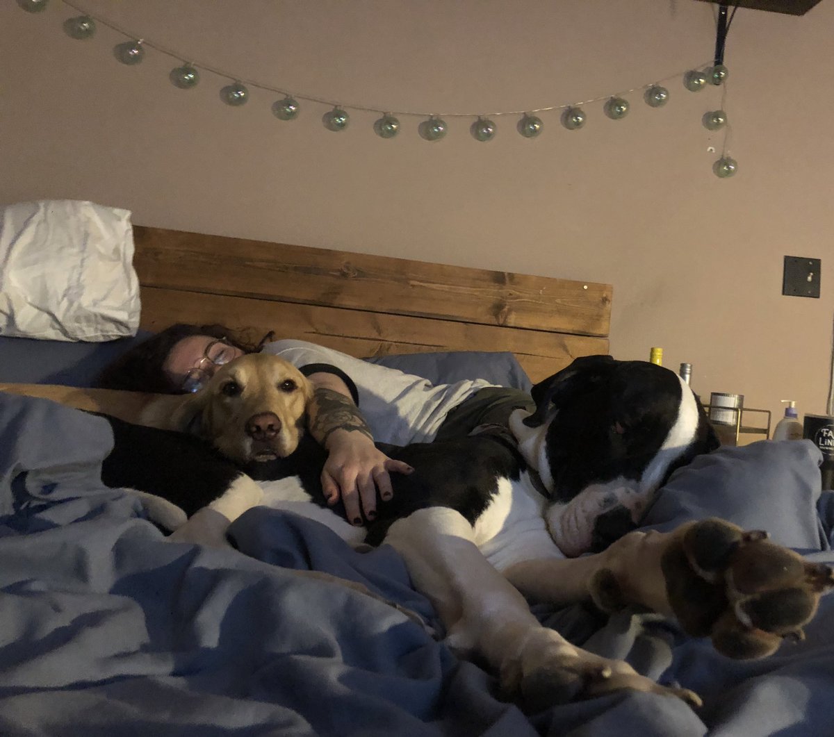 lizzienbeatty's tweet photo. The snuggliest group🥺 https://t.co/jj9DCbFWlD
