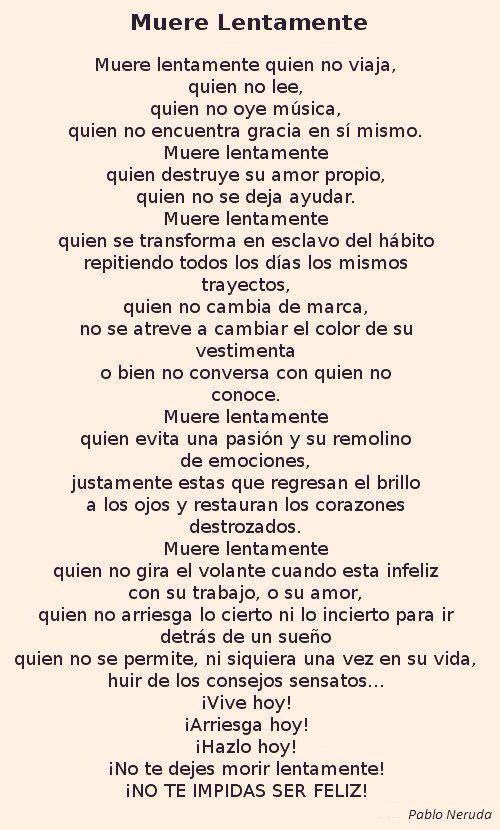 Pervercan🇪🇸🇵🇱🇳🇬🇮🇱 tweet media