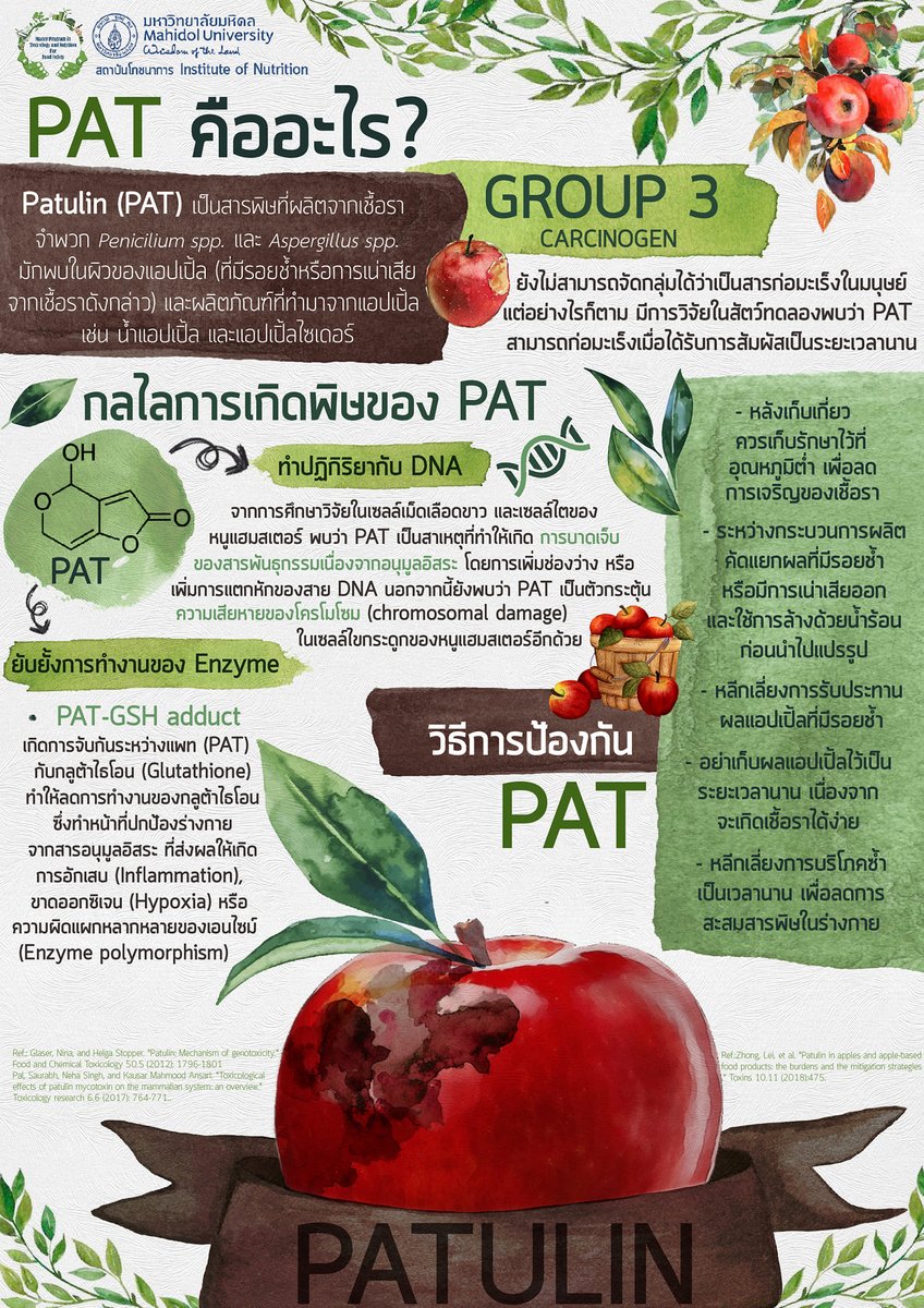 nineyoii's tweet image. บนผิวแอปเปิ้ลที่มีรอยช้ำหรือเน่า อาจมีสารพิษ #พาทูลิน หรือแพท (PAT) ซึ่งมาจากเชื้อรา ที่ก่อพิษได้โดยยับยั้งการทำงานของกลูต้าไธโอน ส่งผลให้เกิดอนุมูลอิสระ และการอักเสบ ทั้งยังจับกับสารพันธุกรรม (DNA) ทำให้ยีนกลายพันธุ์ได้ แม้จะยังไม่มีรายงานว่าก่อมะเร็งในมนุษย์ได้หรือไม่ #patulin
